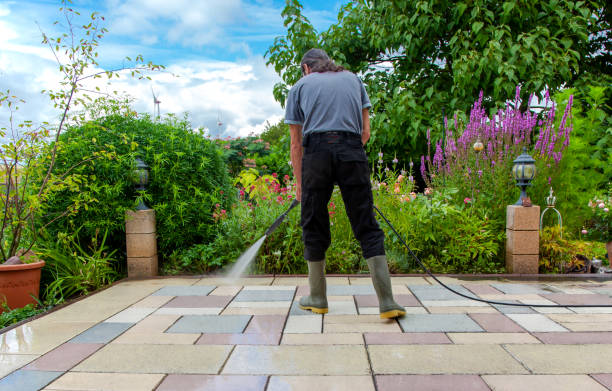  Meridianville, AL Pressure Washing Pros