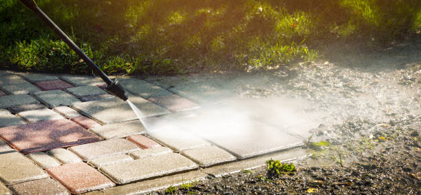 Best Solar Panel Cleaning  in Meridianville, AL